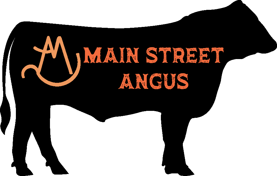 Main Street Angus Words and Stamp